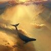 whaleinthesky